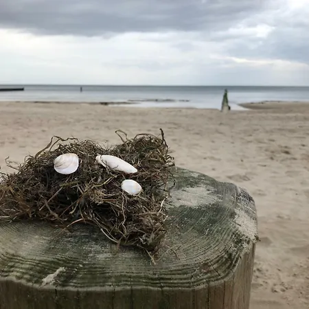 Strandnah Mit Terrasse Zempin