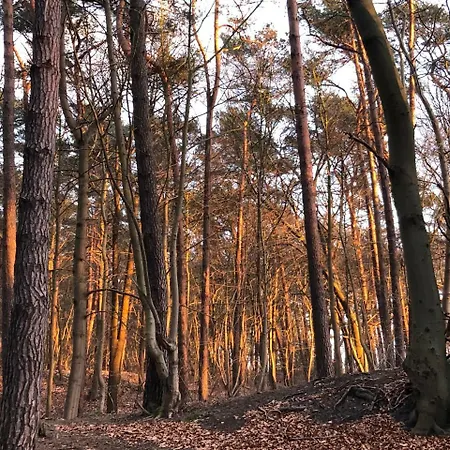 Strandnah Mit Terrasse * Zempin